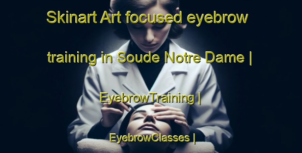 Skinart Art-focused eyebrow training in Soude Notre Dame | EyebrowTraining | EyebrowClasses | SkinartTraining-France